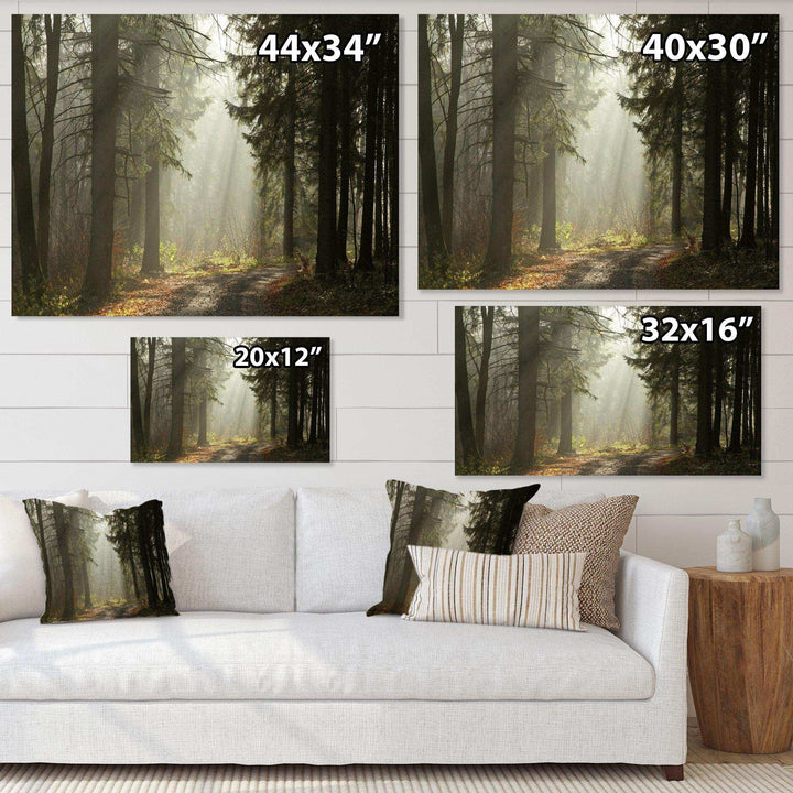 Dark Green Forest with Sun Rays
