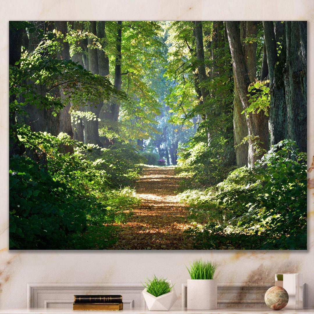 Bright Green Forest in Morning
