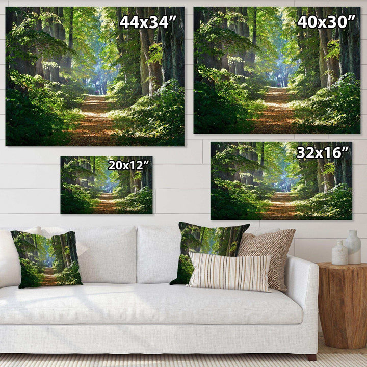 Bright Green Forest in Morning