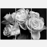 Bunch of Roses Black and White Multi-Panels