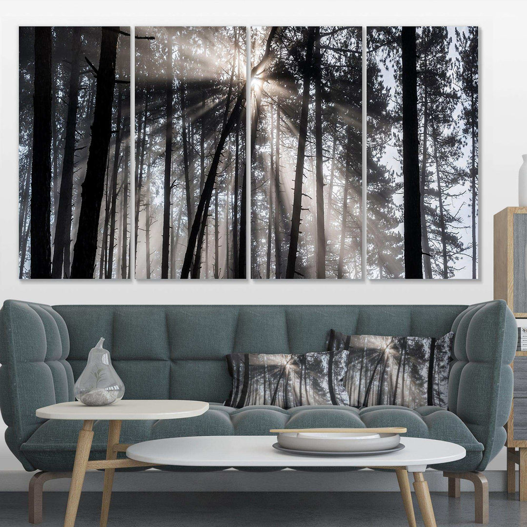 Sunbeams through Black White Forest Multi-Panels