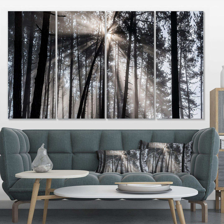 Sunbeams through Black White Forest Multi-Panels
