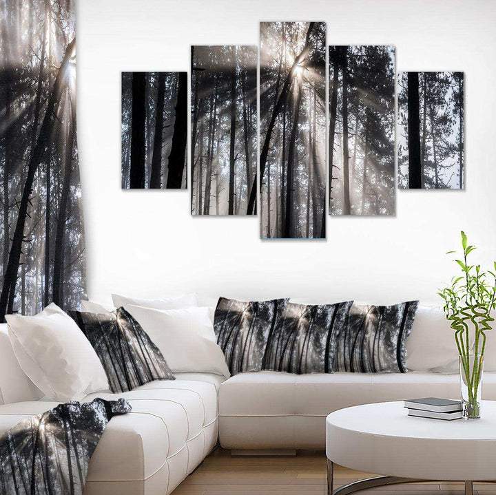 Sunbeams through Black White Forest Multi-Panels