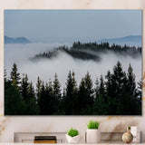 Dark Trees and Fog Over Mountains