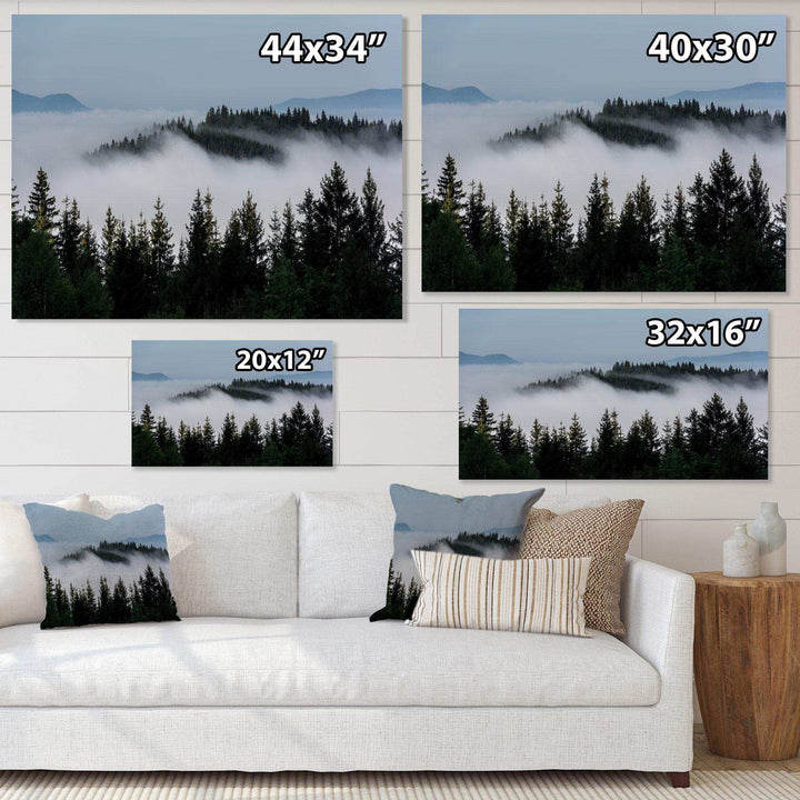Dark Trees and Fog Over Mountains