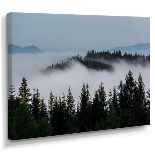 Dark Trees and Fog Over Mountains