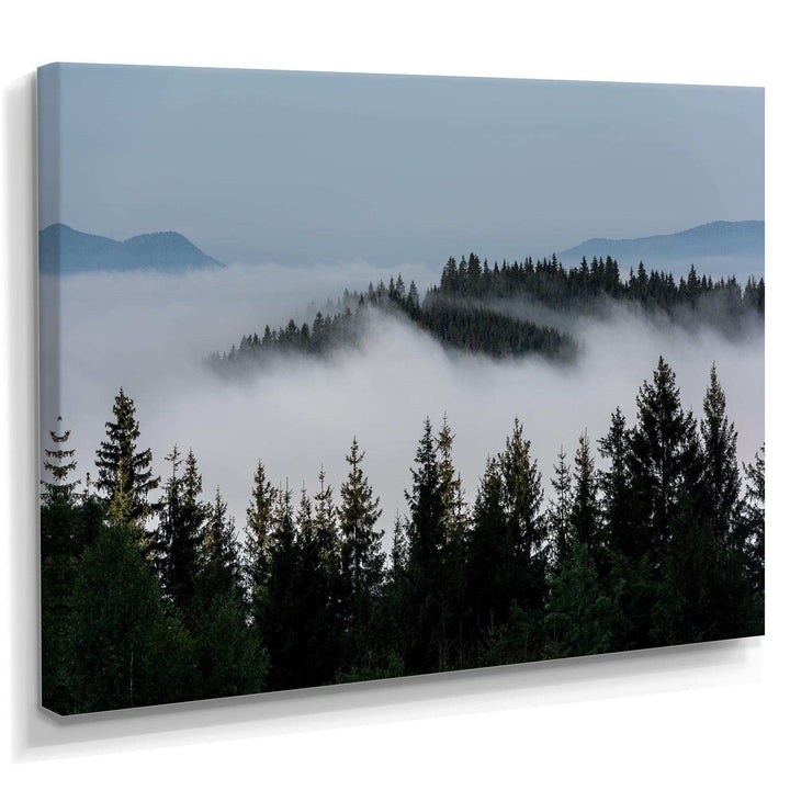 Dark Trees and Fog Over Mountains