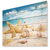 Starfish and Seashells on Beach - Seashore Photo Print on Natural Pine Wood - 20x15
