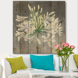 Flower Cleome Splash I - Traditional Floral Print on Natural Pine Wood - 16x16