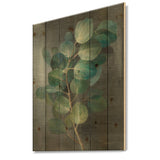 Fresh leaves I - Traditional Print on Natural Pine Wood - 15x20
