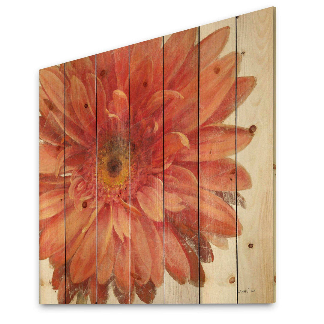 Vivid Red Daisy - Floral &amp; Botanical Print on Natural Pine Wood - 16x16