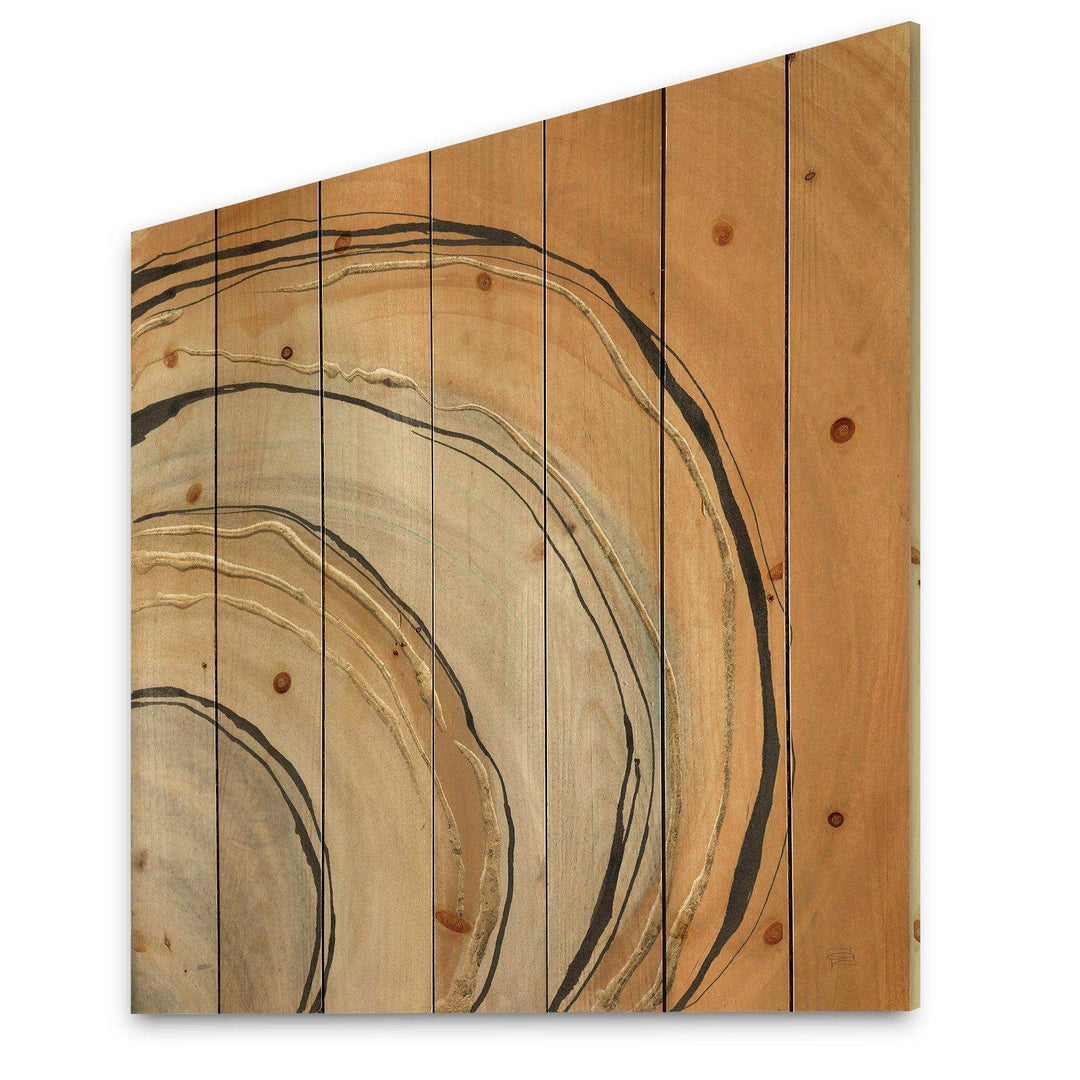 Glam Canion II - Modern &amp; Contemporary Print on Natural Pine Wood - 16x16