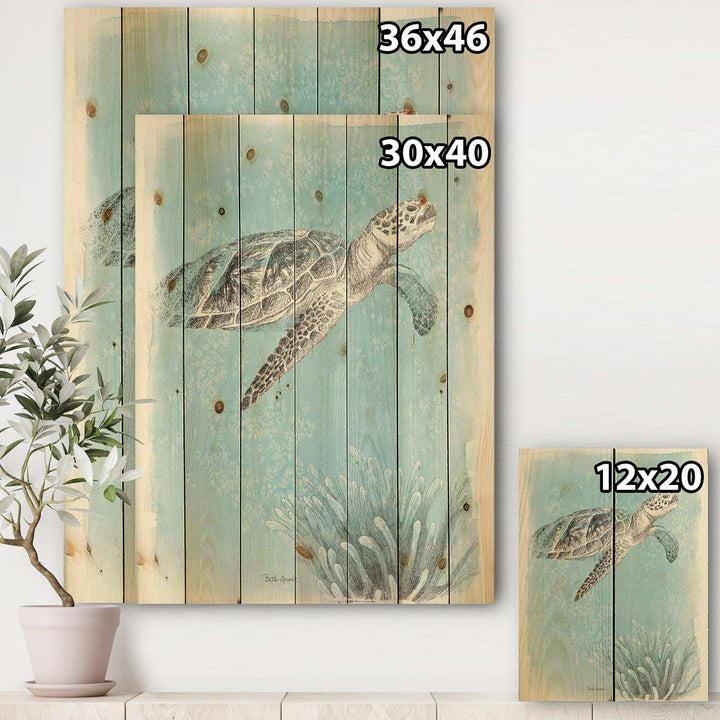 Coastal Sea Life I Turtle sketches - Nautical &amp; Coastal Print on Natural Pine Wood - 15x20