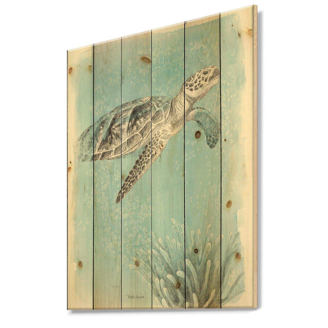 Coastal Sea Life I Turtle sketches - Nautical &amp; Coastal Print on Natural Pine Wood - 15x20