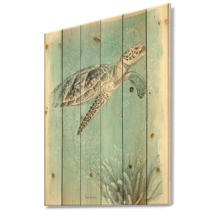 Coastal Sea Life I Turtle sketches - Nautical &amp; Coastal Print on Natural Pine Wood - 15x20