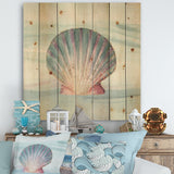 Ocean Shell on Blue  - Nautical & Coastal Print on Natural Pine Wood - 16x16